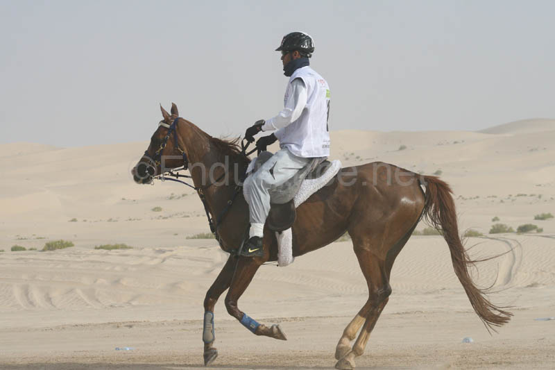 0902PCup_384