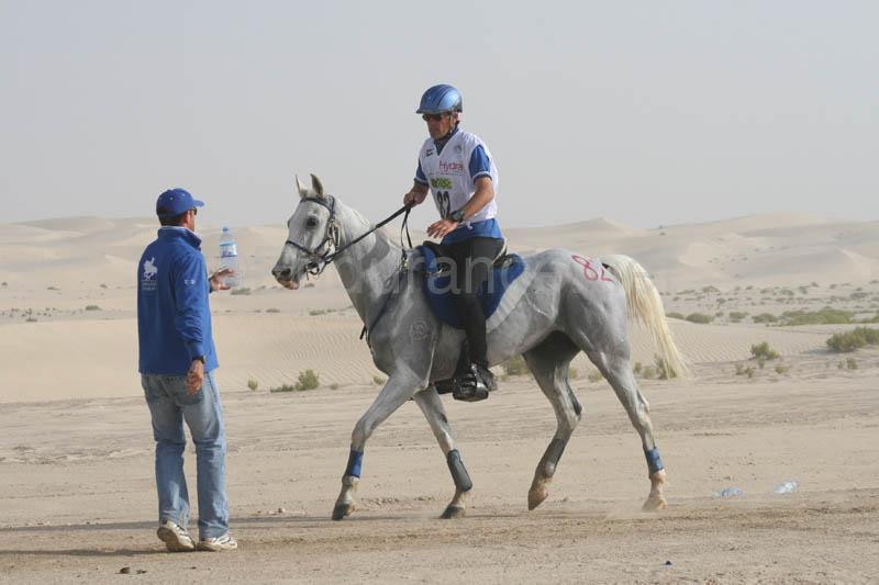 0902PCup_385
