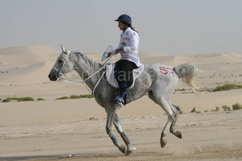 0902PCup_392