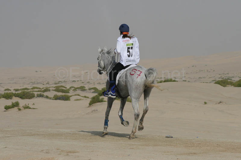 0902PCup_393