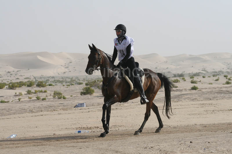 0902PCup_394