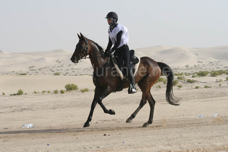 0902PCup_395