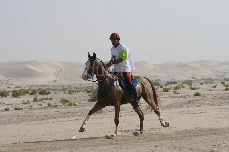 0902PCup_399
