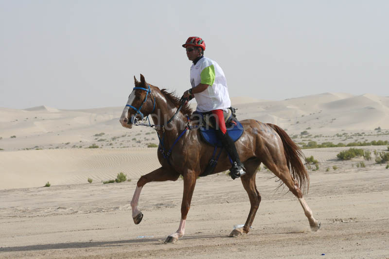 0902PCup_400