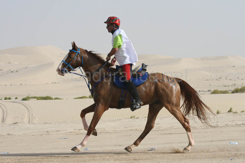 0902PCup_401
