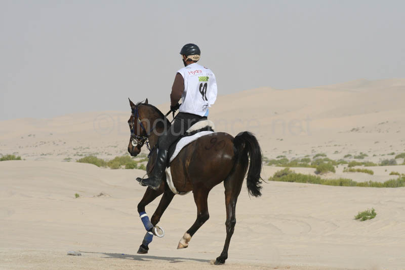 0902PCup_407