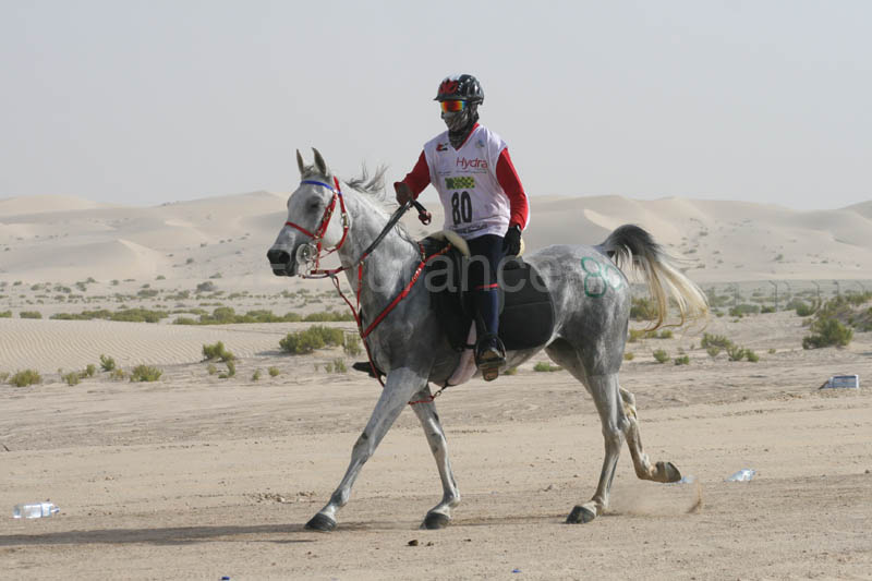 0902PCup_409