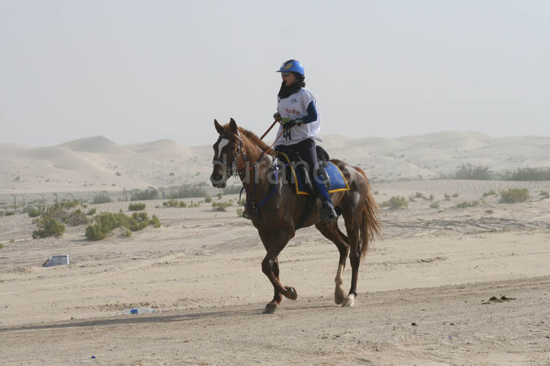 0902PCup_412