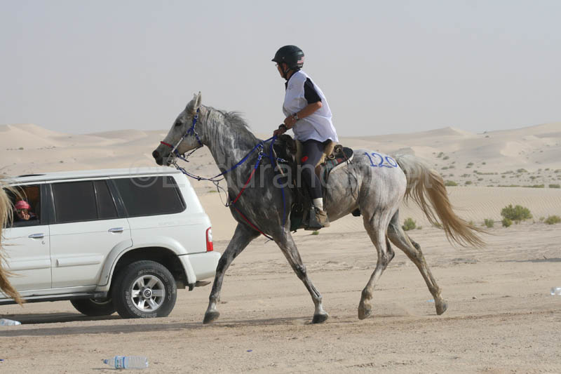 0902PCup_415