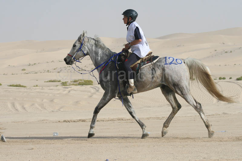 0902PCup_416