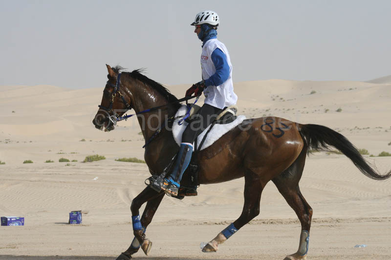 0902PCup_428