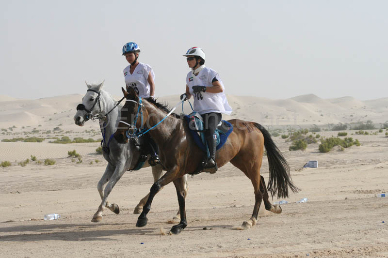 0902PCup_430