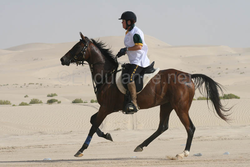 0902PCup_435