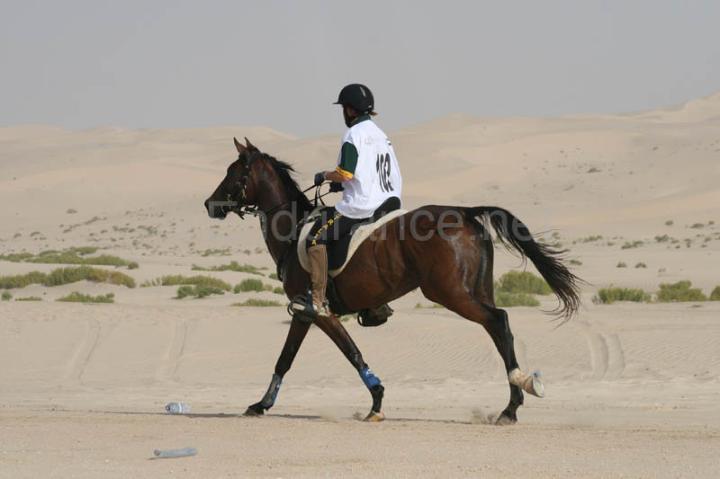 0902PCup_436
