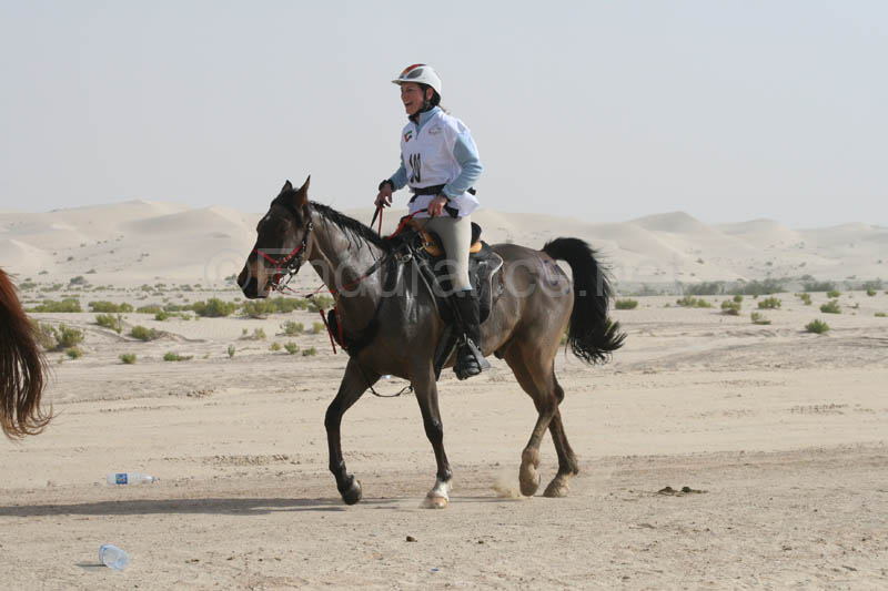 0902PCup_443
