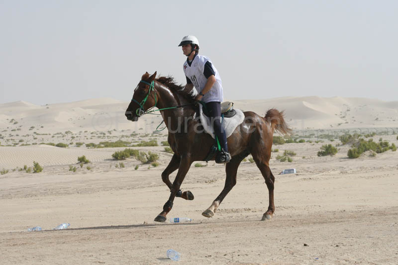 0902PCup_445
