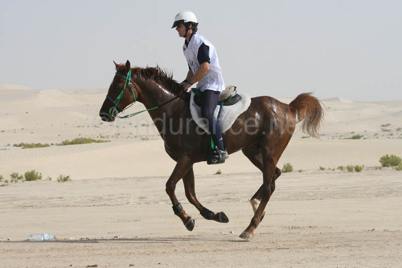 0902PCup_446