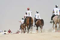 0902PCup_339
