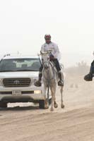 0902PCup_340