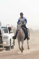 0902PCup_341