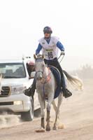 0902PCup_342