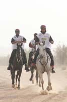 0902PCup_345
