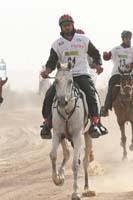 0902PCup_346