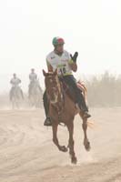 0902PCup_350