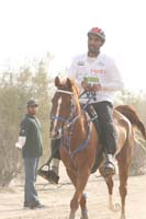 0902PCup_353