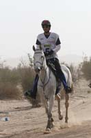 0902PCup_357