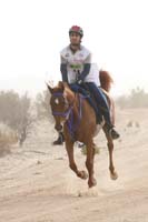 0902PCup_361