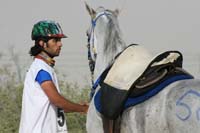 0902PCup_372