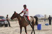 0902PCup_373