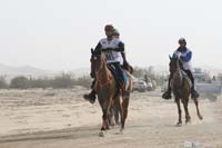 0902PCup_375