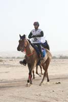 0902PCup_376