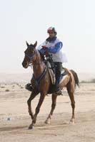 0902PCup_377