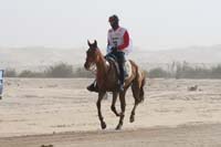 0902PCup_378