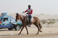 0902PCup_379
