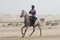 0902PCup_381