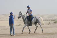 0902PCup_385