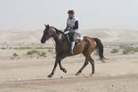 0902PCup_387