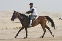 0902PCup_388