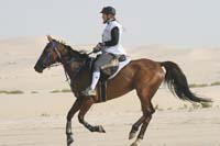 0902PCup_389