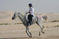 0902PCup_392