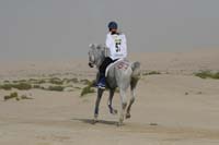 0902PCup_393