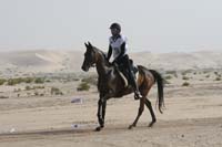 0902PCup_394