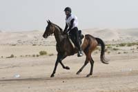 0902PCup_395
