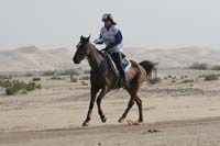0902PCup_397