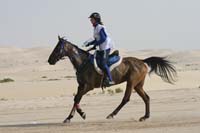 0902PCup_398