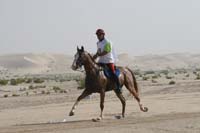 0902PCup_399